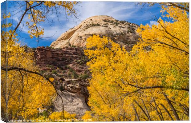 Yellow Trees White Rock Dome Valley Canyonlands Needles Utah Canvas Print by William Perry