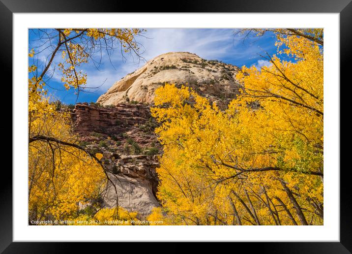 Yellow Trees White Rock Dome Valley Canyonlands Needles Utah Framed Mounted Print by William Perry