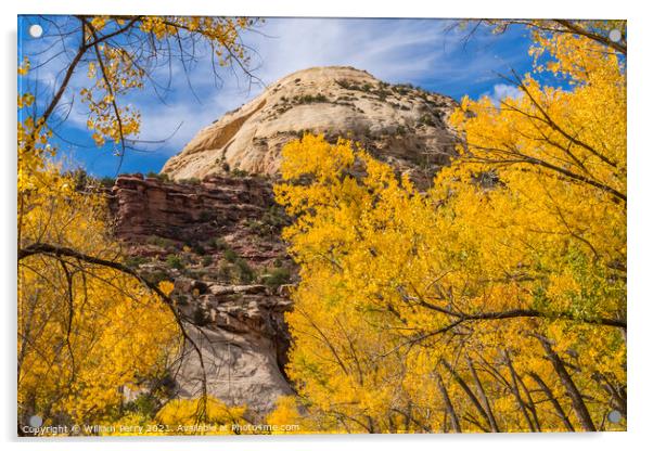 Yellow Trees White Rock Dome Valley Canyonlands Needles Utah Acrylic by William Perry