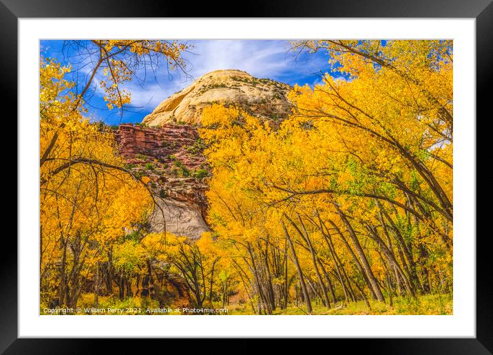 Yellow Cottonwood Trees White Rock Mountain Canyonlands Needles  Framed Mounted Print by William Perry
