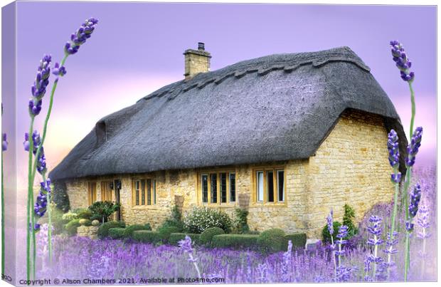 Lavender Cottage Canvas Print by Alison Chambers