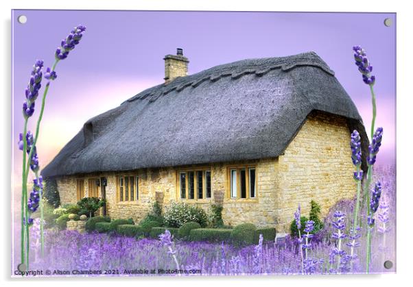 Lavender Cottage Acrylic by Alison Chambers