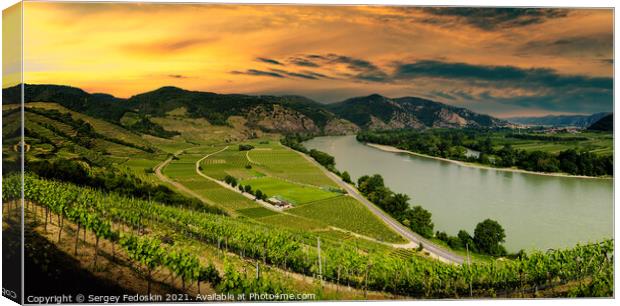 Wachau valley, UNESCO site, landscape with vineyards and Danube  Canvas Print by Sergey Fedoskin