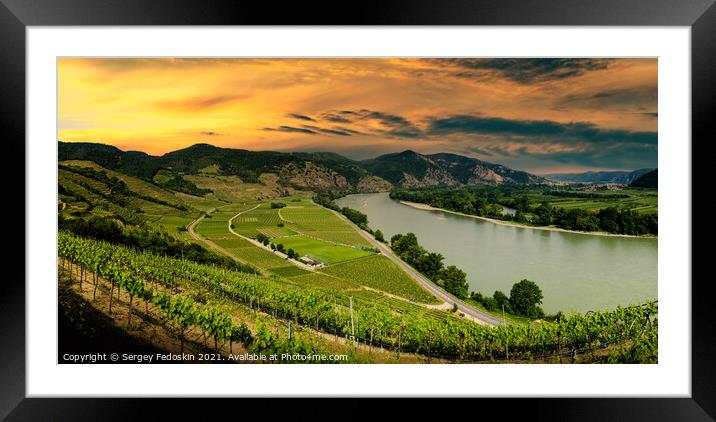Wachau valley, UNESCO site, landscape with vineyards and Danube  Framed Mounted Print by Sergey Fedoskin