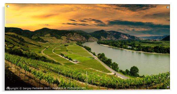 Wachau valley, UNESCO site, landscape with vineyards and Danube  Acrylic by Sergey Fedoskin
