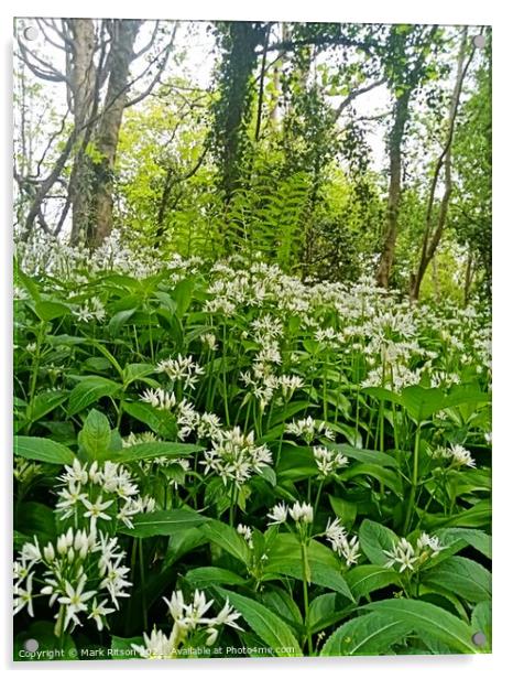 Wild Garlic and Bracken  Acrylic by Mark Ritson