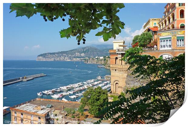 The Port of Sorrento from the Piazza Tasso Print by Diana Mower