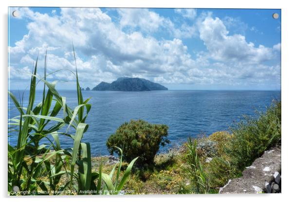 The Island of Capri Bay of Naples Italy Acrylic by Diana Mower