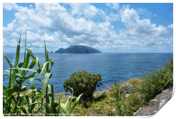 The Island of Capri Bay of Naples Italy Print by Diana Mower