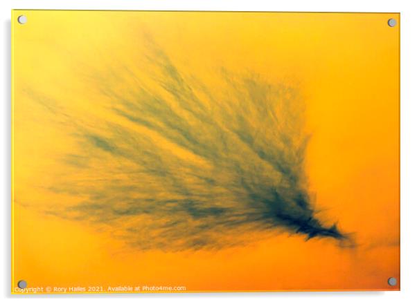 Filaments in the sky Acrylic by Rory Hailes