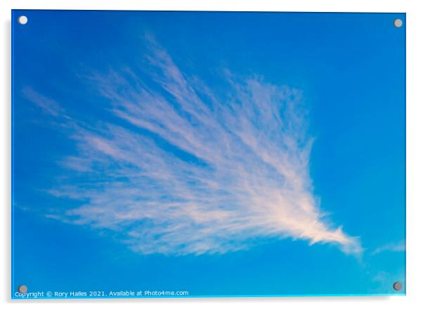 Cirrus cloud Acrylic by Rory Hailes
