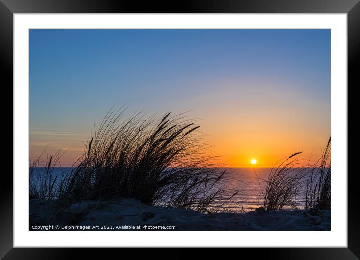 Beach grass at sunset on the atlantic ocean Framed Mounted Print by Delphimages Art