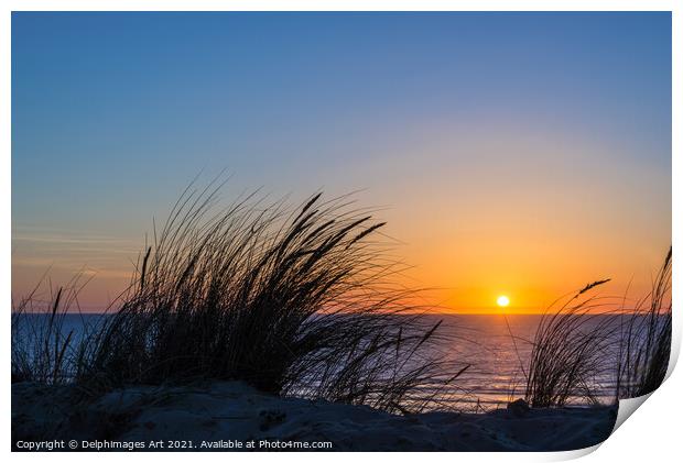 Beach grass at sunset on the atlantic ocean Print by Delphimages Art
