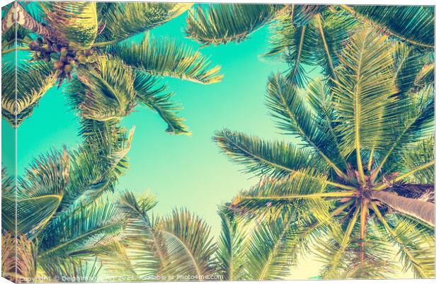 Blue sky and palm trees from below tropical summer Canvas Print by Delphimages Art