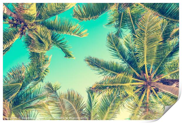 Blue sky and palm trees from below tropical summer Print by Delphimages Art