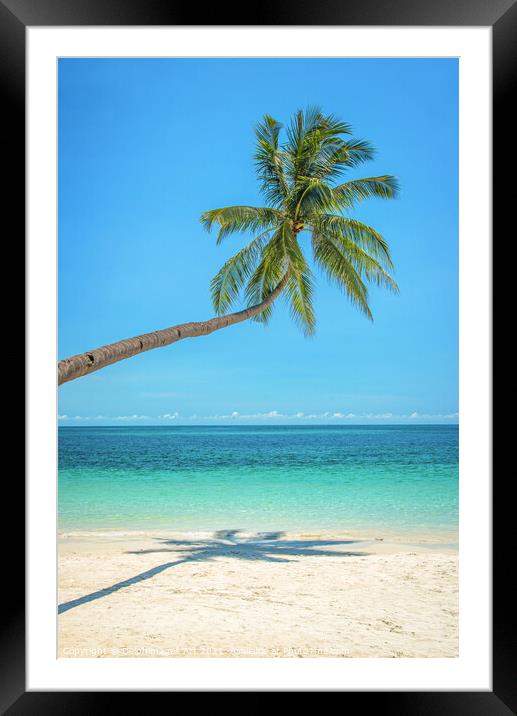 Leaning palm tree over a tropical beach Framed Mounted Print by Delphimages Art