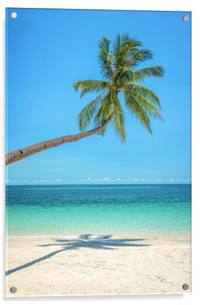 Leaning palm tree over a tropical beach Acrylic by Delphimages Art