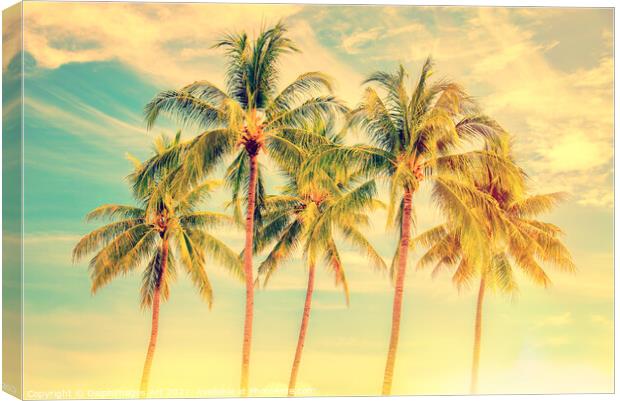Palm trees,  summer and travel tropical decor Canvas Print by Delphimages Art