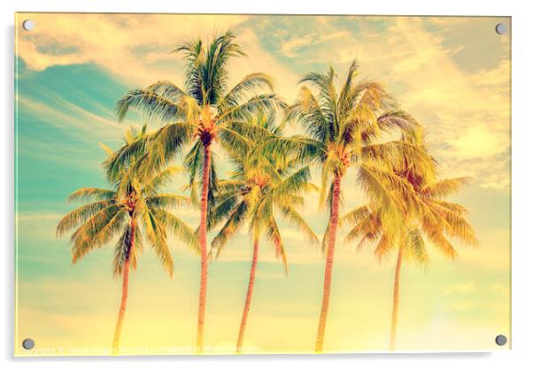 Palm trees,  summer and travel tropical decor Acrylic by Delphimages Art