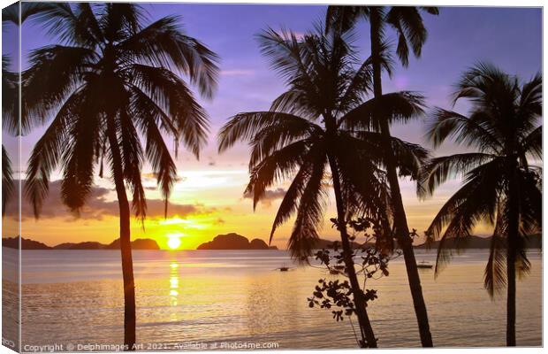 Beach and palm trees at sunset , island of Palawan Canvas Print by Delphimages Art