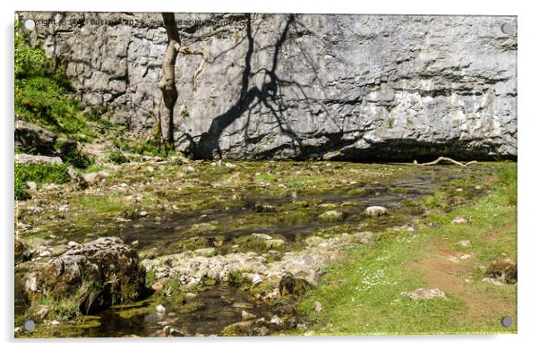 Malham Beck at Malham Cove Acrylic by Pearl Bucknall