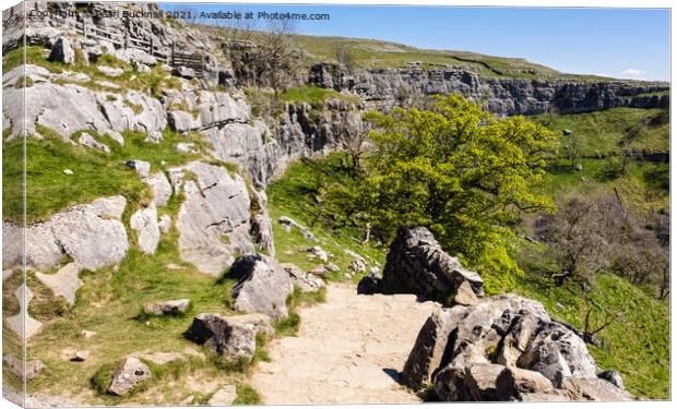 Pennine Way Path by Malham Cove Yorkshire Dales Canvas Print by Pearl Bucknall