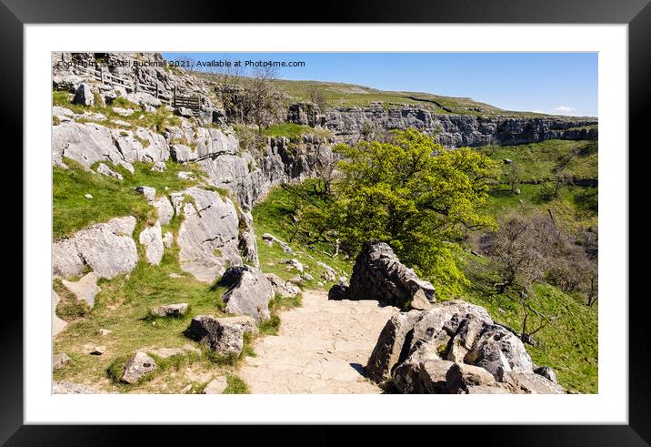 Pennine Way Path by Malham Cove Yorkshire Dales Framed Mounted Print by Pearl Bucknall