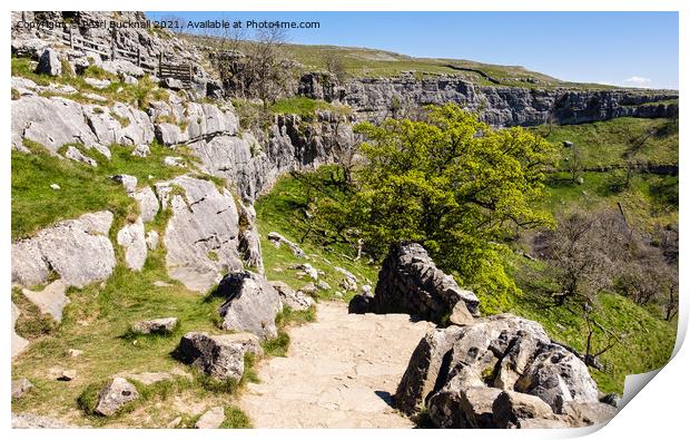 Pennine Way Path by Malham Cove Yorkshire Dales Print by Pearl Bucknall