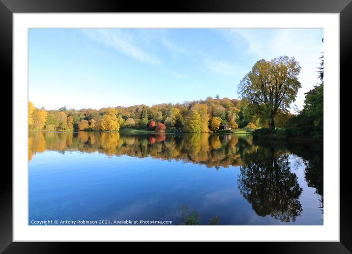Serenity in Stourhead Framed Mounted Print by Antony Robinson