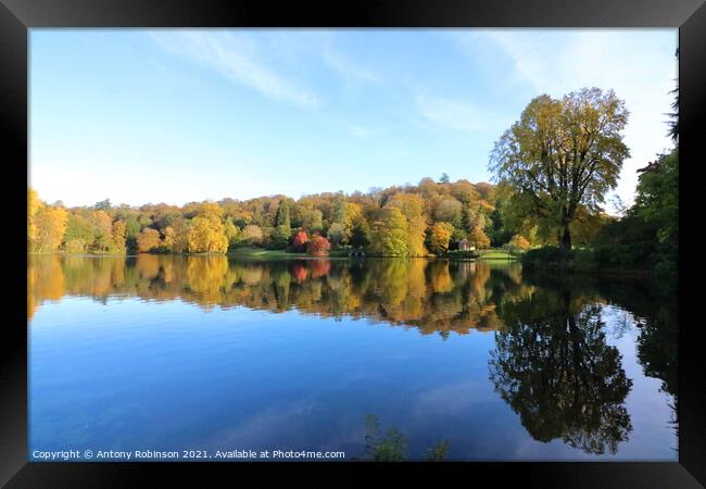 Serenity in Stourhead Framed Print by Antony Robinson