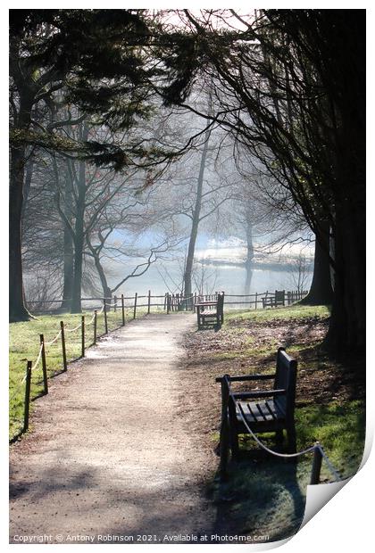 Enchanting Misty Stourhead Gardens Print by Antony Robinson