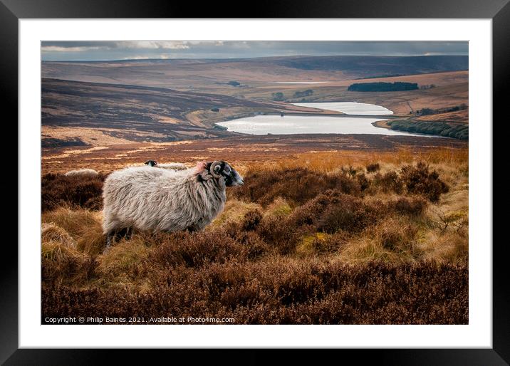 Haworth Moor Framed Mounted Print by Philip Baines