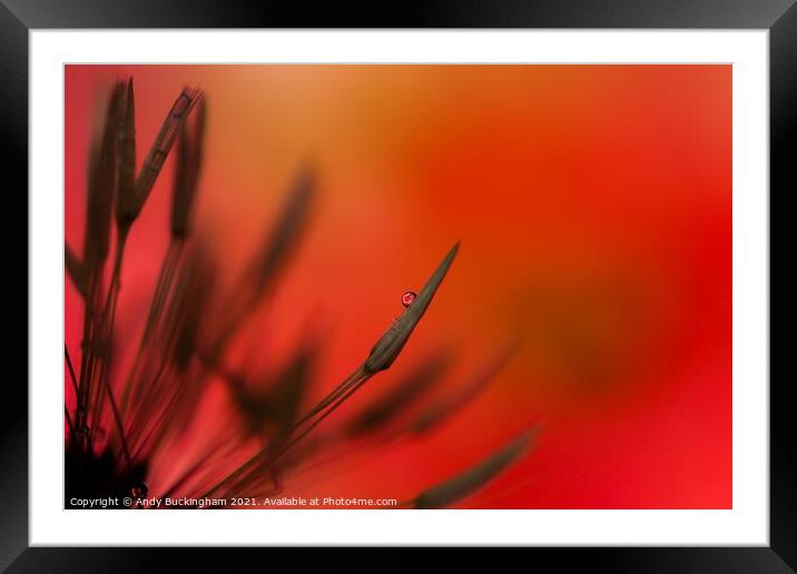 Abstract  Framed Mounted Print by Andy Buckingham