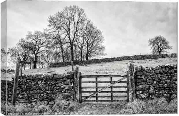A Gated Field On A Cold & Frosty Morning At Malham Cove Canvas Print by Peter Greenway