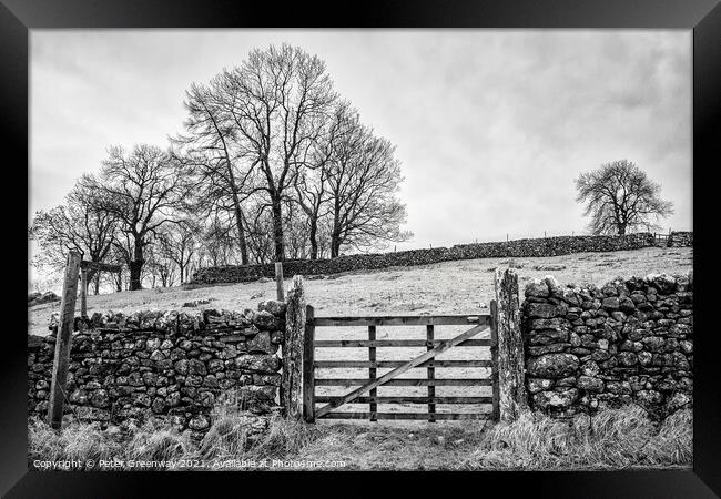 A Gated Field On A Cold & Frosty Morning At Malham Cove Framed Print by Peter Greenway