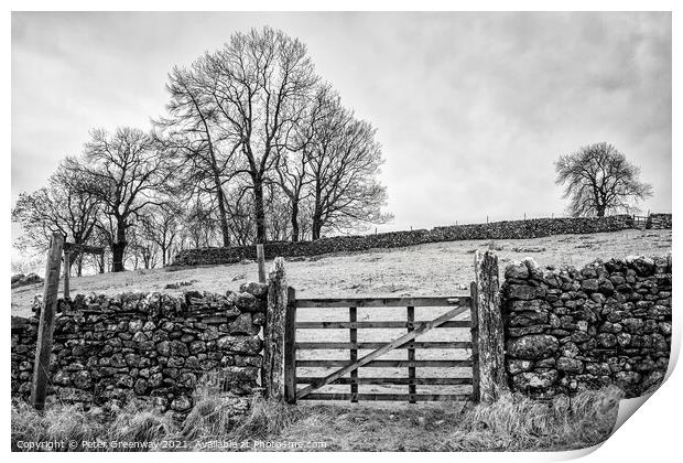 A Gated Field On A Cold & Frosty Morning At Malham Cove Print by Peter Greenway