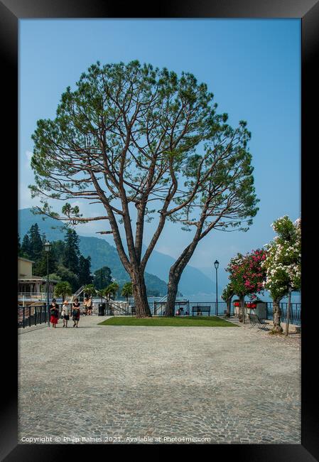Lakeside Walk at Bellagio Framed Print by Philip Baines