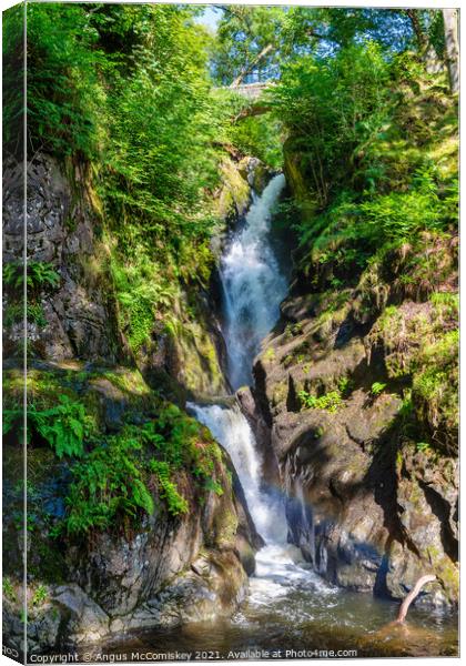 Aira Force waterfall Canvas Print by Angus McComiskey