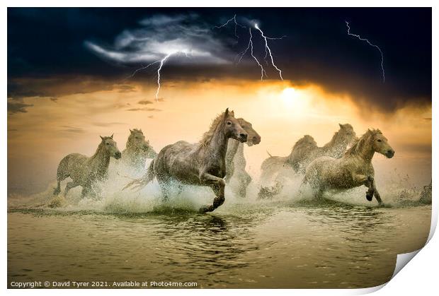 White Horses in Storm Print by David Tyrer
