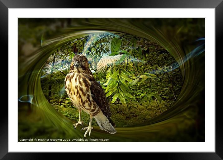 Falcon's Haunt Framed Mounted Print by Heather Goodwin