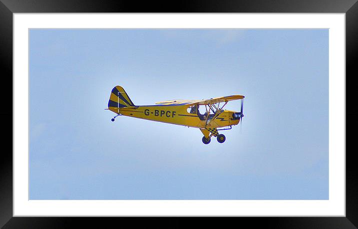 Piper Plane Framed Mounted Print by Jacqui Kilcoyne