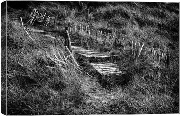 Allonby Steps in Mono Canvas Print by John Frid