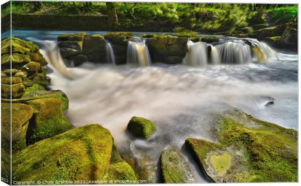 The waterfall at Yorkshire Bridge Canvas Print by Chris Drabble