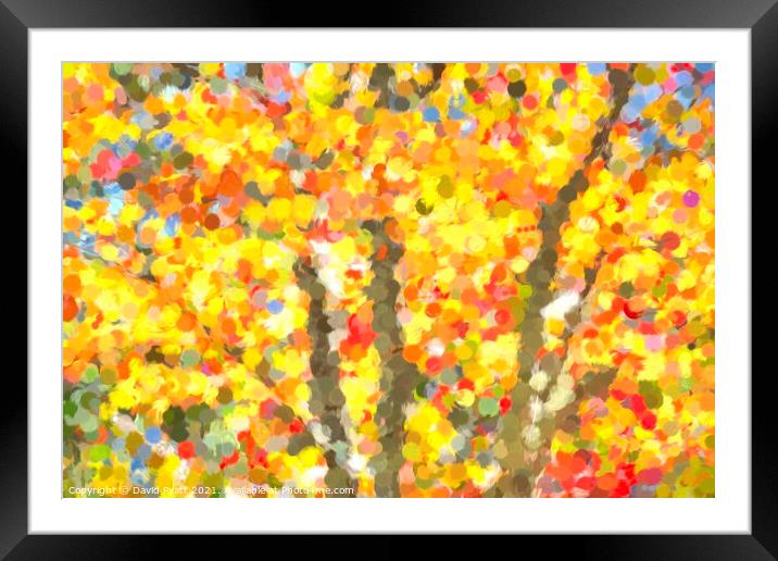  Autumn Colours Sleepy Hollow Art Framed Mounted Print by David Pyatt