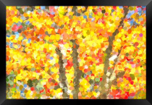  Autumn Colours Sleepy Hollow Art Framed Print by David Pyatt