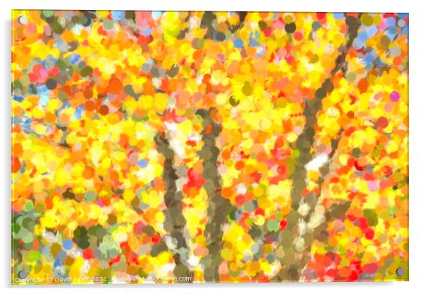  Autumn Colours Sleepy Hollow Art Acrylic by David Pyatt