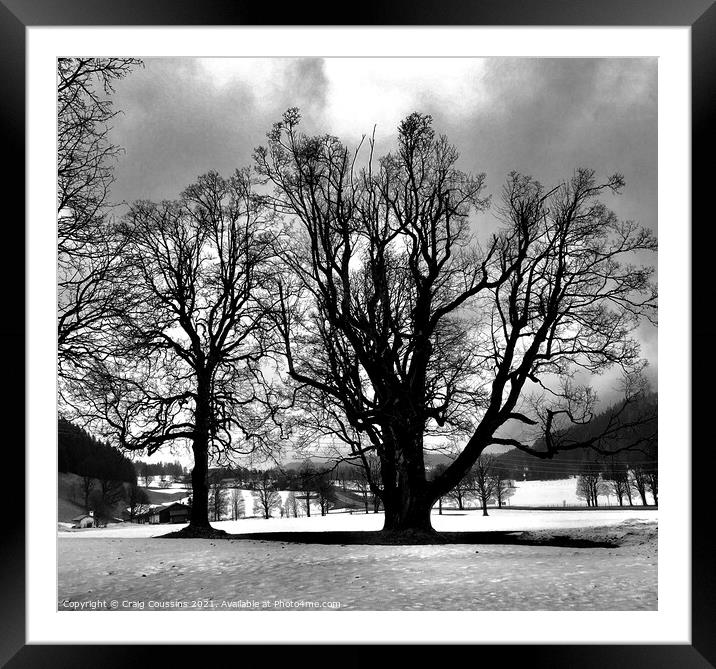 Winter Trees Silhouette Framed Mounted Print by Wall Art by Craig Cusins