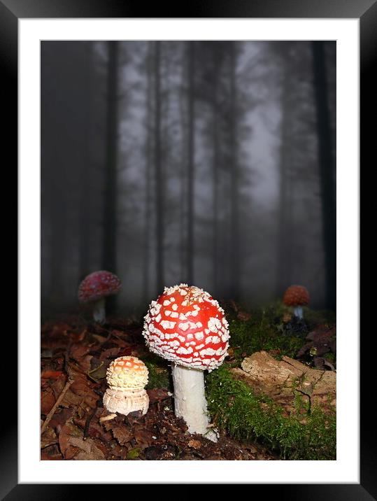 Mysterious Fly Agarics Framed Mounted Print by David Neighbour