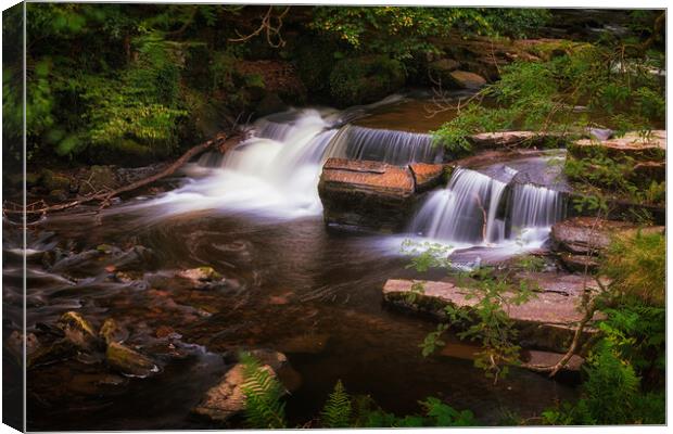 Taf Fechan Forest waterfall Canvas Print by Leighton Collins