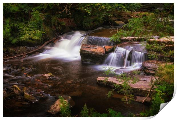 Taf Fechan Forest waterfall Print by Leighton Collins
